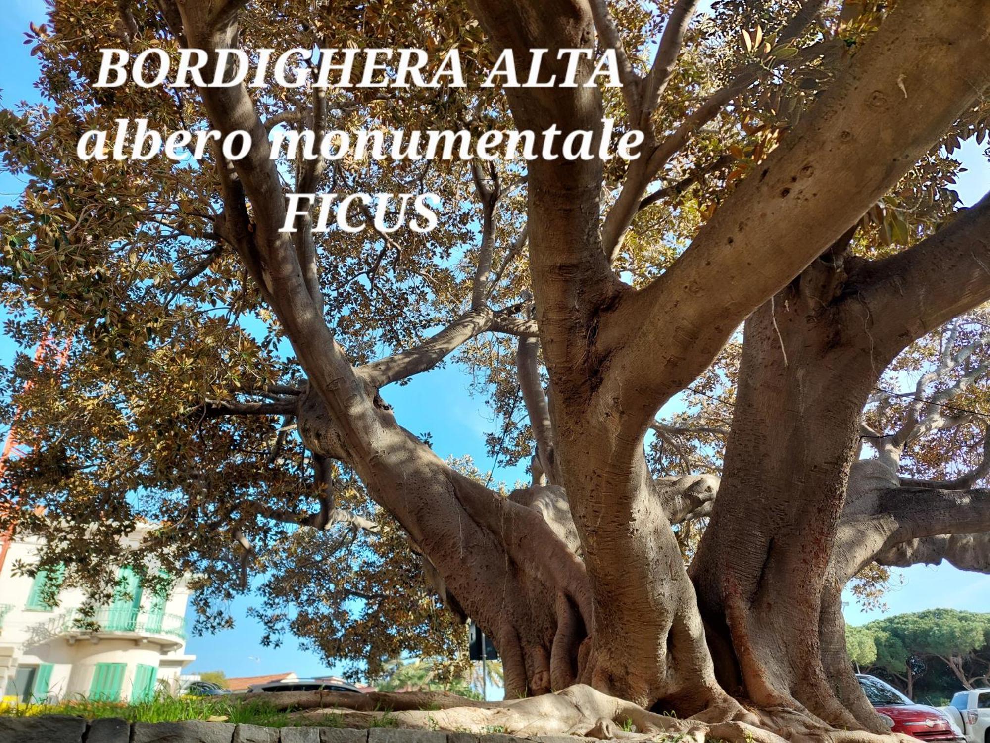 Emozioni Casa Vista Mare Bordighera Exterior foto
