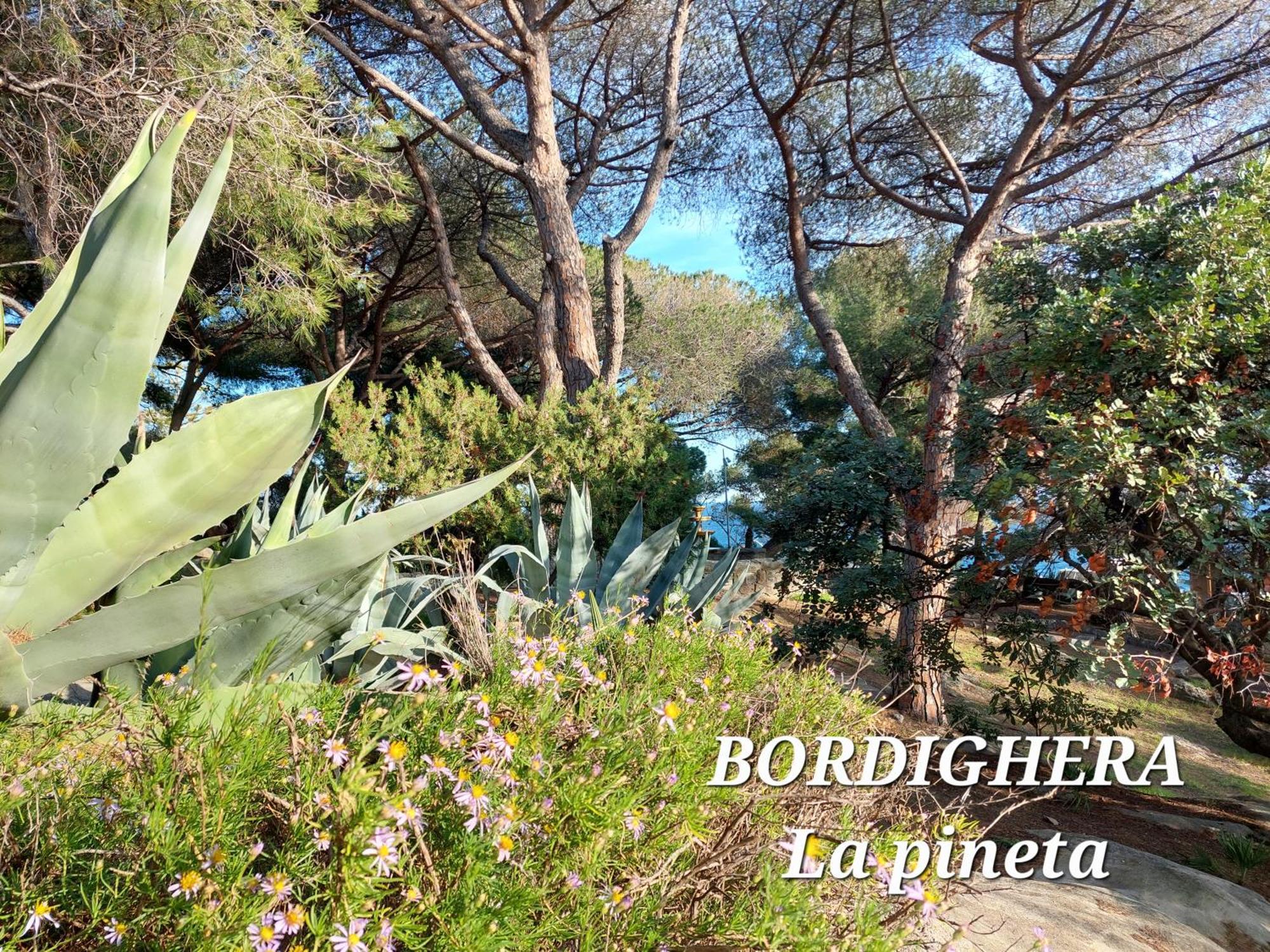 Emozioni Casa Vista Mare Bordighera Exterior foto